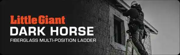 Dark Horse Titelgrafik