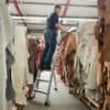 Günzburger Steigtechnik Alu Stehleiter einseitig begehbar mit relax-step® und Rollen