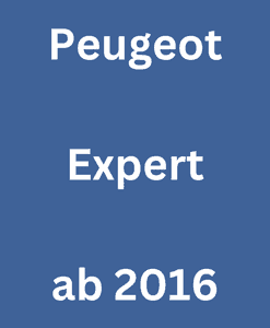 Expert 2016 -