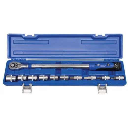 PROJAHN - 1/2" Drehmomentschlüssel-Set, 11-teilig TORQUE-PROFI 200 + Stecknusseinsätze Bereich: 40-200 Nm Tole – PROJAHN W…