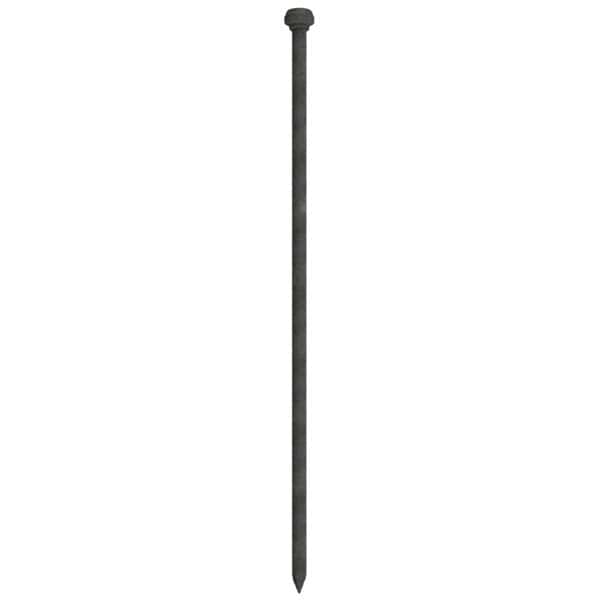 Schake - Erdnagel Typ 1 — Durchmesser: 16 mm, Länge 1000 mm