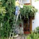 Krause Tribilo® Mehrzweckleiter